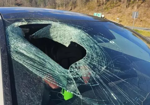 O pisică moartă a căzut „din cer” prin parbrizul unei mașini. Șoferița a sunat la urgențe: „Bine, s-ar putea să nu mă credeți”