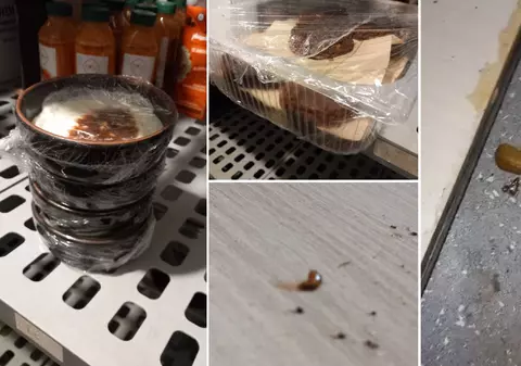 Gândaci, muște și mizerie în două restaurante cunoscute din Constanța. Protecția Consumatorului a dat amenzi și le-a închis