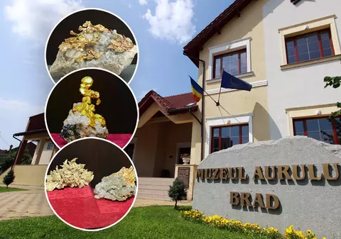 Tezaurul mai puțin știut al Apusenilor. Singurul loc din România unde se pot vedea peste 1.000 de pepite din aur nativ