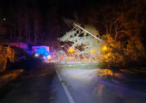 Telegondola și telecabina din Sinaia, blocate de vijelie. Peste 20 de copaci au fost doborâți de vânt în stațiune