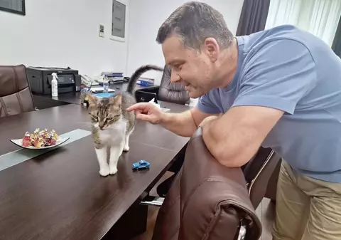 Ciprian Ciucu a decis ce va face cu Jessy, pisica vedetă de la Primăria Sectorului 6: „Da, m-am gândit bine!”