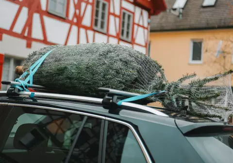 Ce să faci ca să nu ți se usuce bradul de Crăciun în casă: secretele care te ajută să menții pomul proaspăt până la Sf. Ion