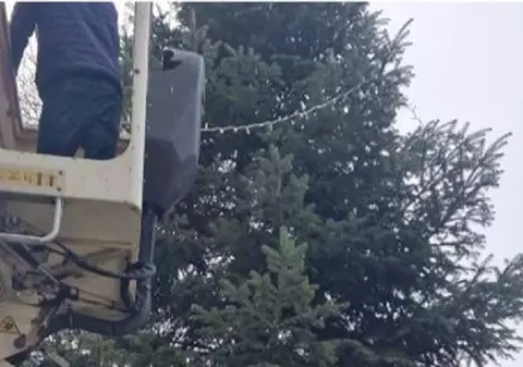 Brad de pe un mormânt, tăiat de Primăria Drăgășani și împodobit în centrul orașului de Crăciun