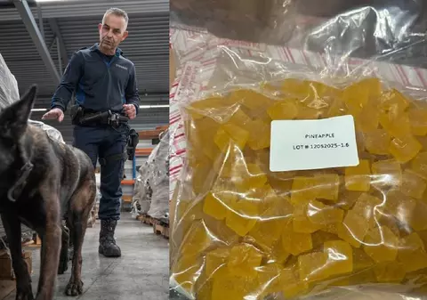 Vameșii din Olanda au confiscat 3.200 de kilograme de dulciuri „glazurate” cu marijuana