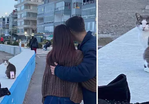 Doi îndrăgostiți au folosit o pisică drept suport de telefon ca să facă o poză de vacanță, în Turcia