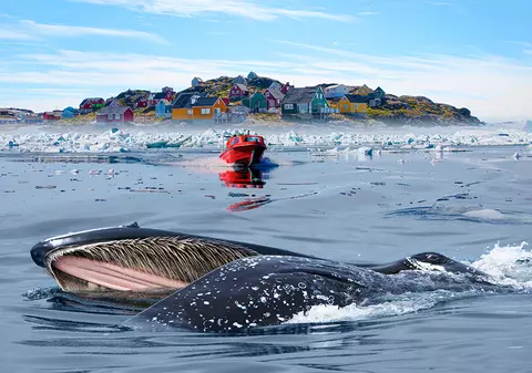 RADAr CULTURAL. Spiritele fierbinți ale gheții