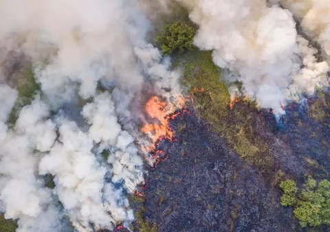 Pericol de incendii majore, după ce temperaturile au ajuns la aproape 50 de grade în Australia