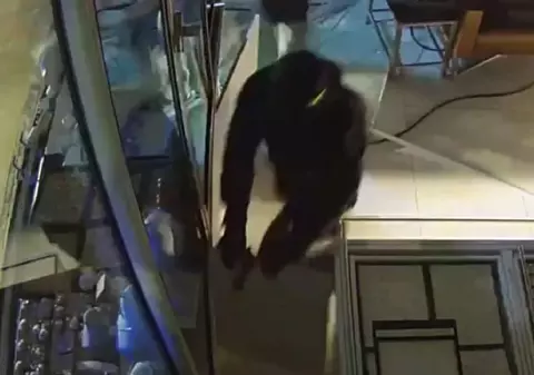 Panterele Roz au furat bijuterii de 1.000.000 de euro în doar două minute. Jaful a fost filmat într-un mall din Germania