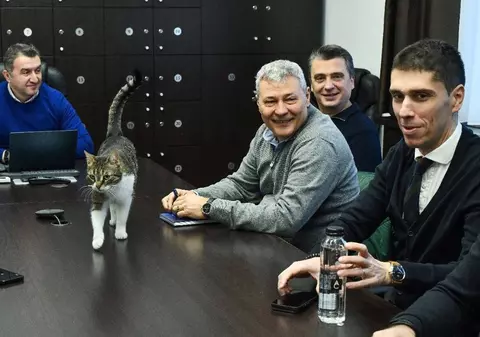 Pisica-vedetă a Primăriei Sectorului 6, găsită de un pompier după ce a fost furată: „Vă rugăm să nu o mai luați pe Jessy!”