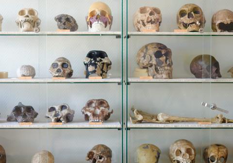 O teorie veche de secole revine în atenția biologilor și ar putea explica și ceea ce teoria lui Darwin nu poate