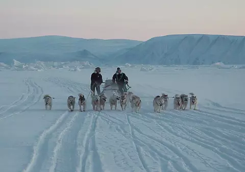 Patrulele cu sănii trase de câini, ironizate de Trump, sunt veritabile unități de elită, mai eficiente, în unele situații, decât elicopterele sau sateliții: „Doar cei mai rezistenți supraviețuiesc”