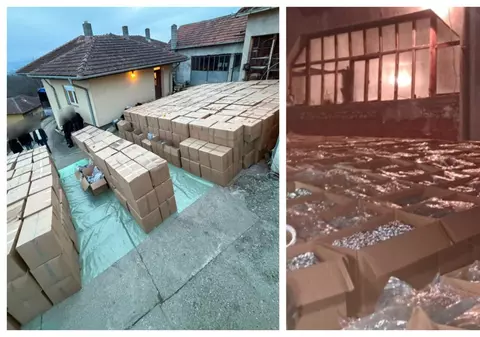 O afacere de familie din Serbia, cu castraveți și răsaduri, ascundea tone de droguri în cutii de carton: acestea ajungeau apoi în UE