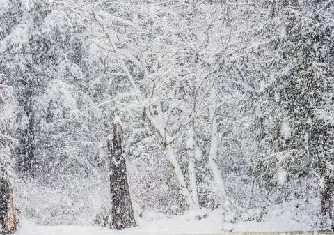 „Următoarele 10 zile de iarnă vor fi cele mai grele din ultimii 40 de ani”: Statele Unite se pregătesc pentru o mega-furtună de zăpadă