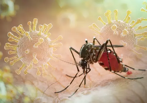 Primul caz de virus Chikungunya confirmat în România. Ce este Chikungunya și cum se transmite