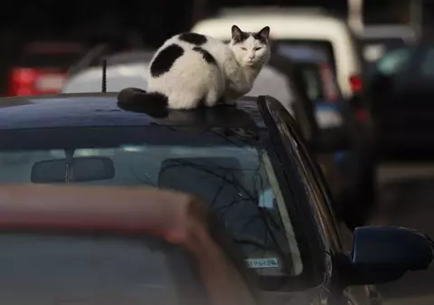 Vremea în perioada 26 ianuarie - 22 februarie 2026. După gerul din ianuarie, avem temperaturi neobișnuite în februarie