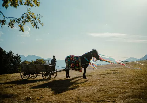 „Catane” - o comedie neagră plină de culoare