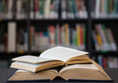 Proiectul secret în care o companie de inteligență artificială a distrus milioane de cărți: „Nu vrem să știe nimeni despre asta”