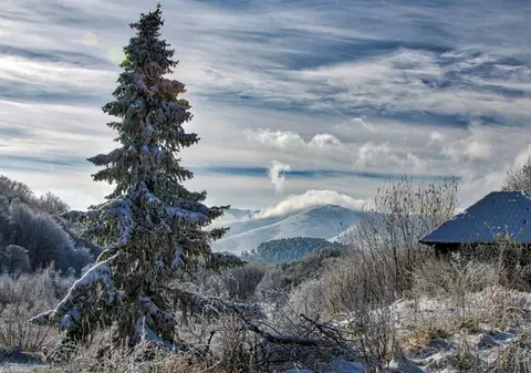 O casă cu subsol și livadă se vinde la prețul unei mașini second-hand. E la câteva ore de România și are 300 mp de teren