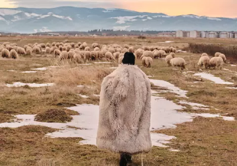 Încep controalele la stâne, amenzile și tăierile de bani. Ciobanii se tem că nu vor mai primi subvenții APIA