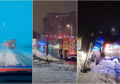 Codul galben de ninsori și viscol a făcut prăpăd în mai multe județe: copaci rupți și mașini distruse în București, drumuri închise sau restricționate în 16 județe | VIDEO