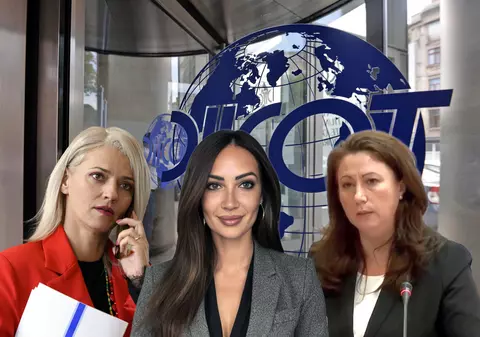 Un procuror reclamă ingerințe instituționale și politice. Cum a devenit șefa DIICOT foarte interesată de un dosar după un mesaj de la Alina Gorghiu, colegă de partid cu funcționarii investigați