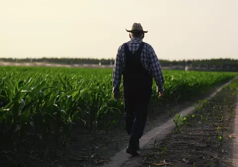 Fermierii riscă să nu mai primească subvențiile APIA pentru 2026, din cauza grevelor din 1.300 de primării