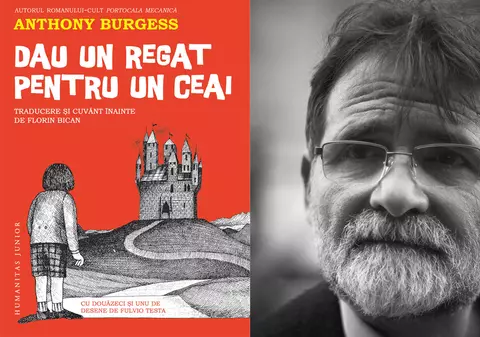 Scriitorul Florin Bican a tradus o carte pentru copii care sfidează logica și testează răbdarea: „Dacă mai mulți adulți ar citi astfel de literatură, am trăi într-o lume mult mai bună”