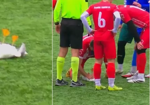 Un fotbalist a resuscitat un pescăruş lovit de minge, în timpul meciului, în Turcia | Video