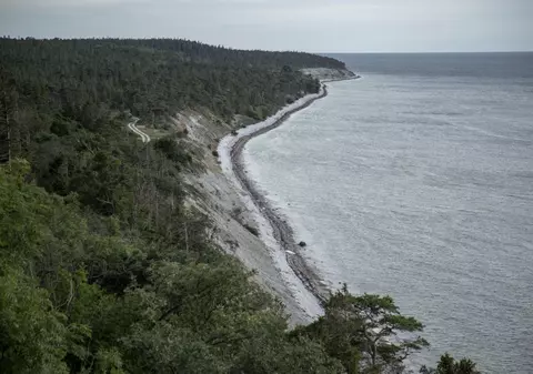 Suedia caută administratori pentru cinci insule, oferind străinilor șansa de a locui un an în natură. Ce condiții trebuie să îndeplinești