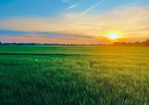 Ce înseamnă când visezi ogor