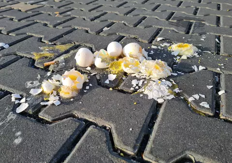 Adolescenta de 15 ani n-a luat cetățenia din cauză că a aruncat cu ouă într-o casă, în Elveția