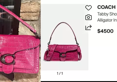 A cumpărat o poșetă cu 100 de dolari de la un magazin second hand pentru mama sa, apoi a aflat că valorează 4.500 de dolari: „Reușita anului”