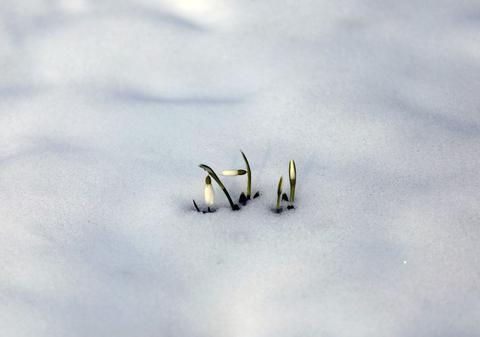 Vremea în perioada 16 februarie - 15 martie 2026. Val de aer rece, apoi vremea devine capricioasă