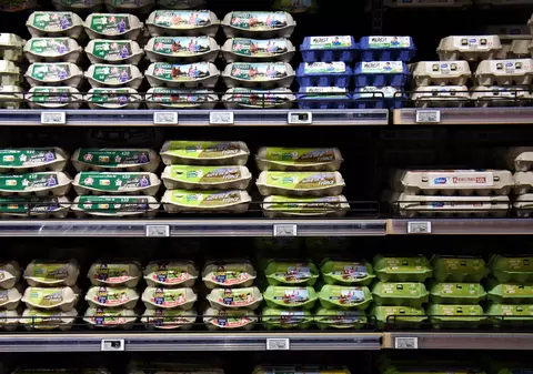 Pofta de ouă a francezilor este la un nivel record, iar producătorii au probleme în a ține pasul