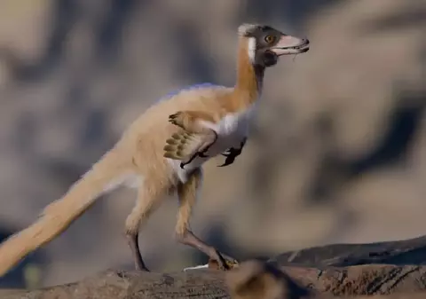 De ce un dinozaur prădător mai mic decât o găină nu a mai crescut niciodată