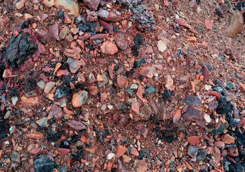 Metoda „flash” transformă gunoiul în miliarde de dolari. Cum poti obține pământuri rare din cenușă, nămol și chiar din ciuperci