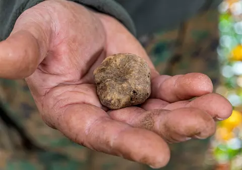 Un kilogram din acest condiment de lux costă deja 2500 de euro, iar prețul va continua să crească după o decizie UE