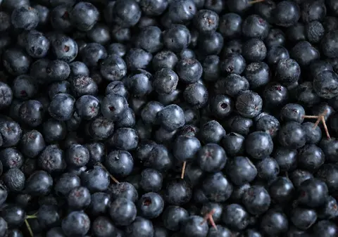 5 motive pentru care aronia este considerată un „super-fruct” și cum să o consumi corect