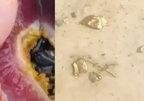 Un sătean a găsit aur în stomacul raței pe care o tăiase, în China: „Dați-mi adresa exactă, vreau să cresc 1.000 de păsări acolo!”
