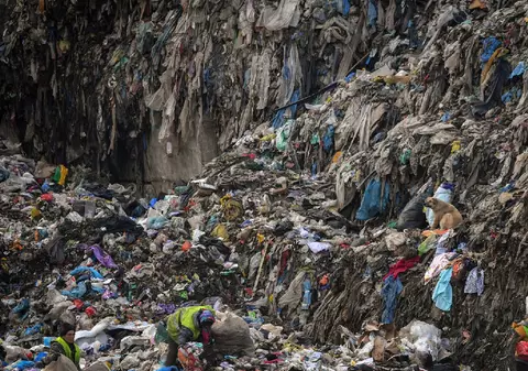 România importă gunoiul Europei, dar deșeurile sortate de români ajung, în final, împreună la groapa de gunoi