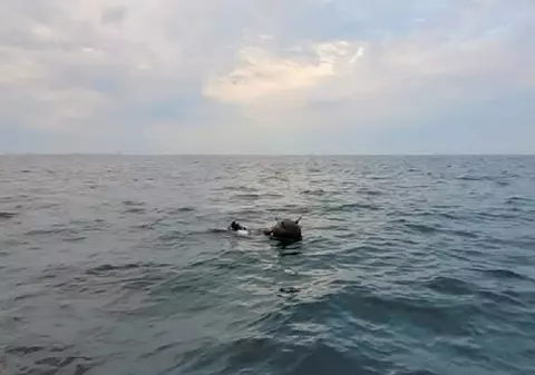 Ministerul Apărării se ceartă cu Ambasada Rusiei la București despre originea minelor marine în derivă în Marea Neagră