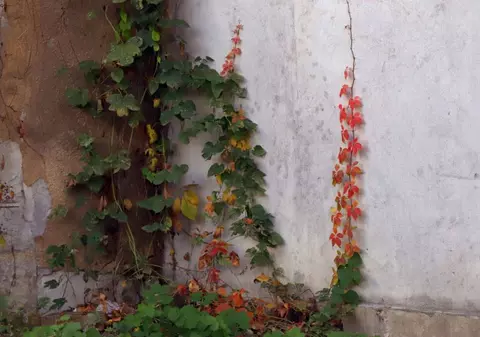 Temperaturi de 18 grade Celsius în zilele următoare. Prognoza meteo ANM pentru perioada 7-15 martie 2026