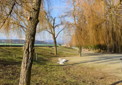 Vremea se răcește și apar ploile în România, de săptămâna viitoare. Prognoza meteo ANM în perioada 9 - 23 martie 2026