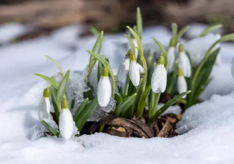 Vremea în perioada 9 martie - 5 aprilie 2026. Temperaturi neobișnuite în mai multe zone, săptămâna viitoare