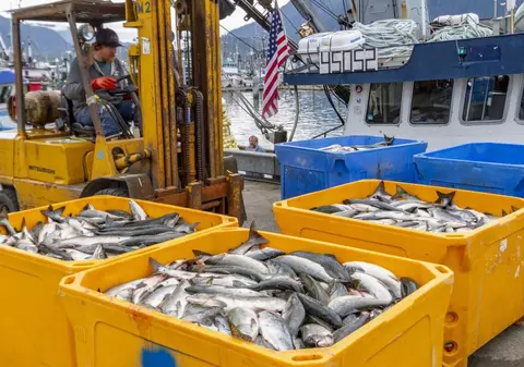 Șase studenți au plecat la muncă sezonieră în Alaska și s-au întors după patru luni cu până la 15.000 de dolari