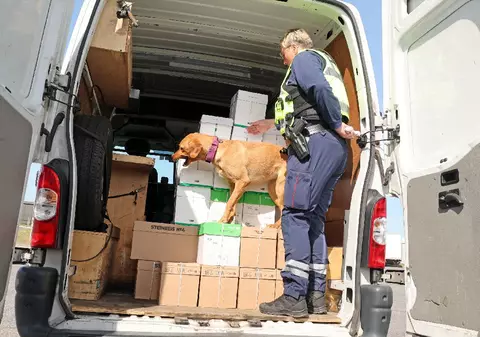 Un șofer român și-a făcut ascunzătoare în plafonul dubei, dar tot a fost arestat, în Franța: „Credeam că e tutun”