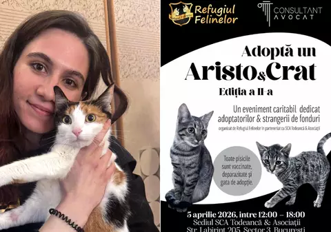 Târgul de adopție AristoCrat revine. Ce aduce nou ediția 2: „Este o celebrare a oamenilor care doresc să schimbe destine”