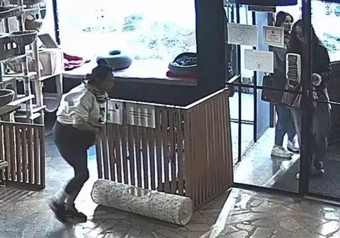 Tentativă de furt de pisică eșuată într-o cafenea populară din Polonia: ce a făcut felina în ultima secundă | VIDEO