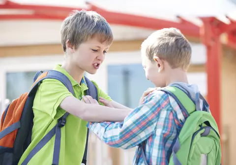 Românii sunt cei mai mulți dintre cei 345.095 de delincvenți tineri din Austria: „Îi prindem. Și îi deportăm”