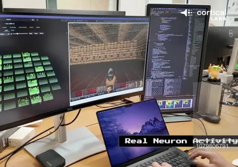 Un „creier” creat în laborator a învățat să joace Doom: „Poate lua decizii în timp real”